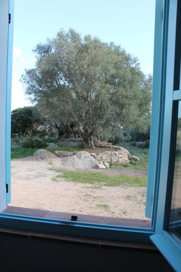 Chalet Stazzo Gallurese Vista Mare *