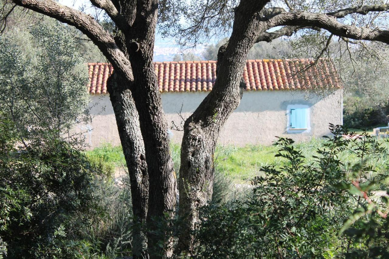 Stazzo Gallurese Vista Mare * Olbia